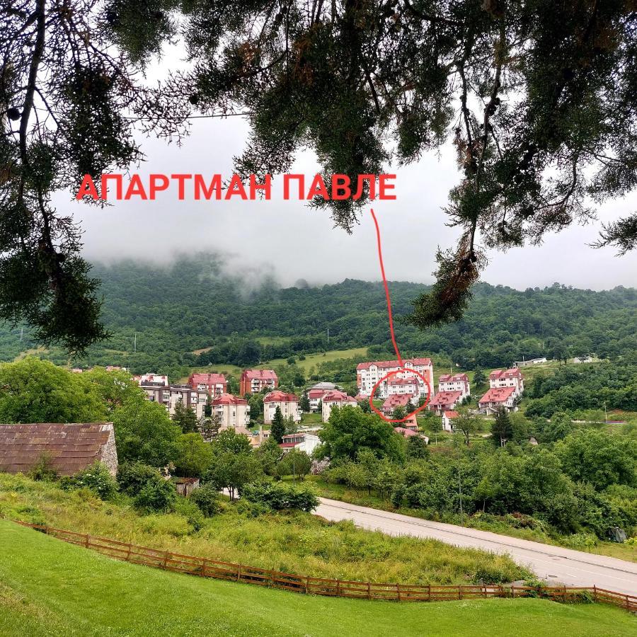 Apartman Pavle Pluzine Exterior photo