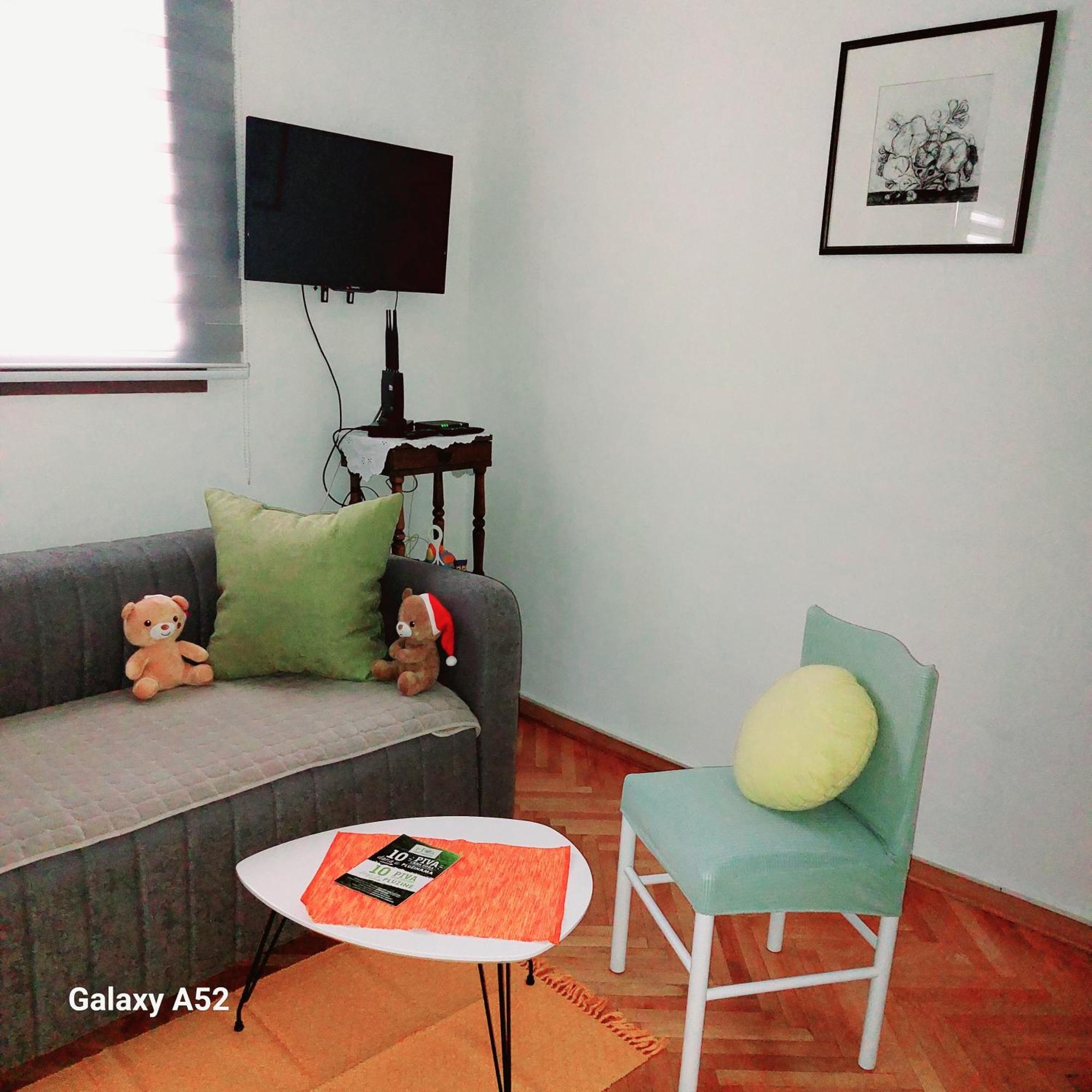 Apartman Pavle Pluzine Exterior photo