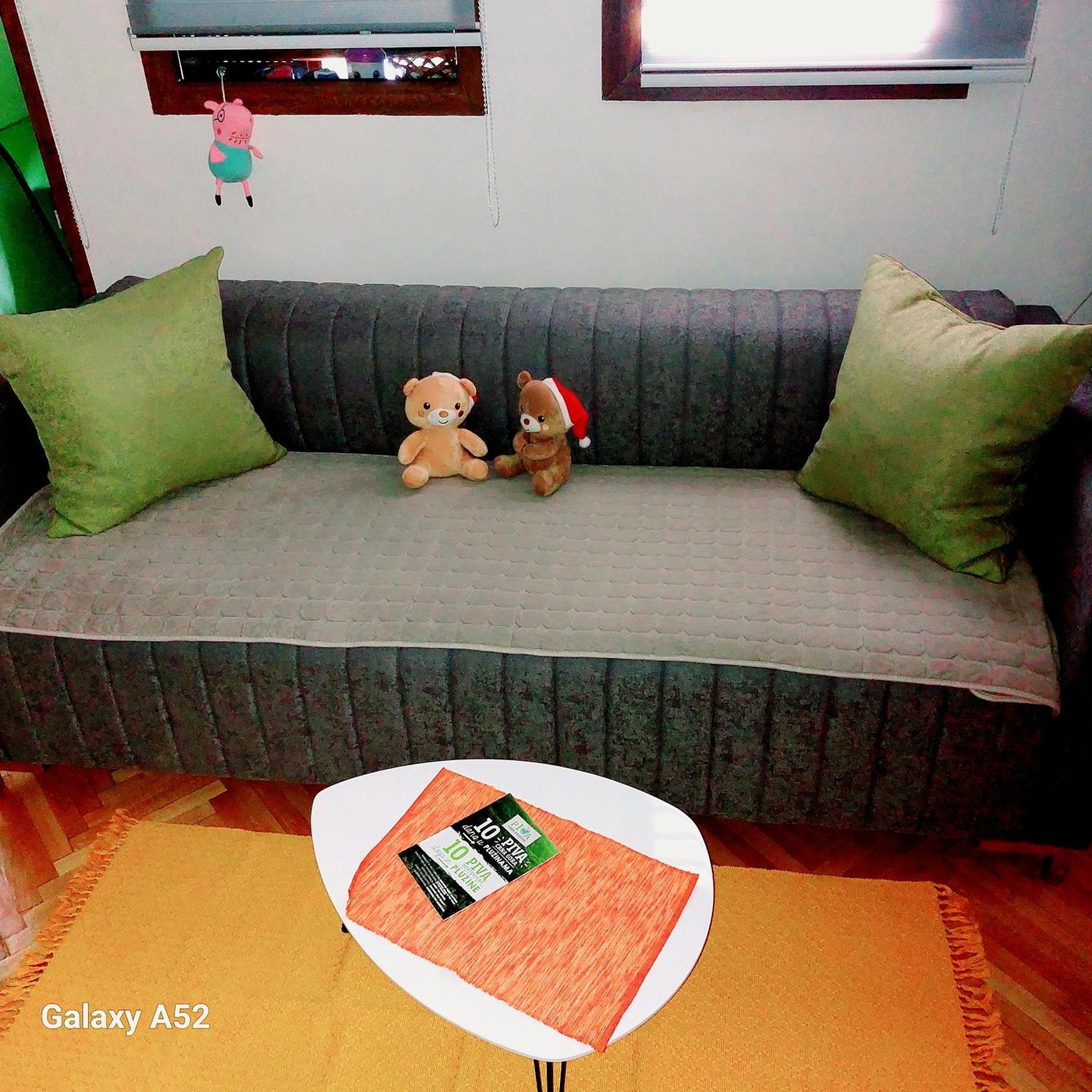 Apartman Pavle Pluzine Exterior photo